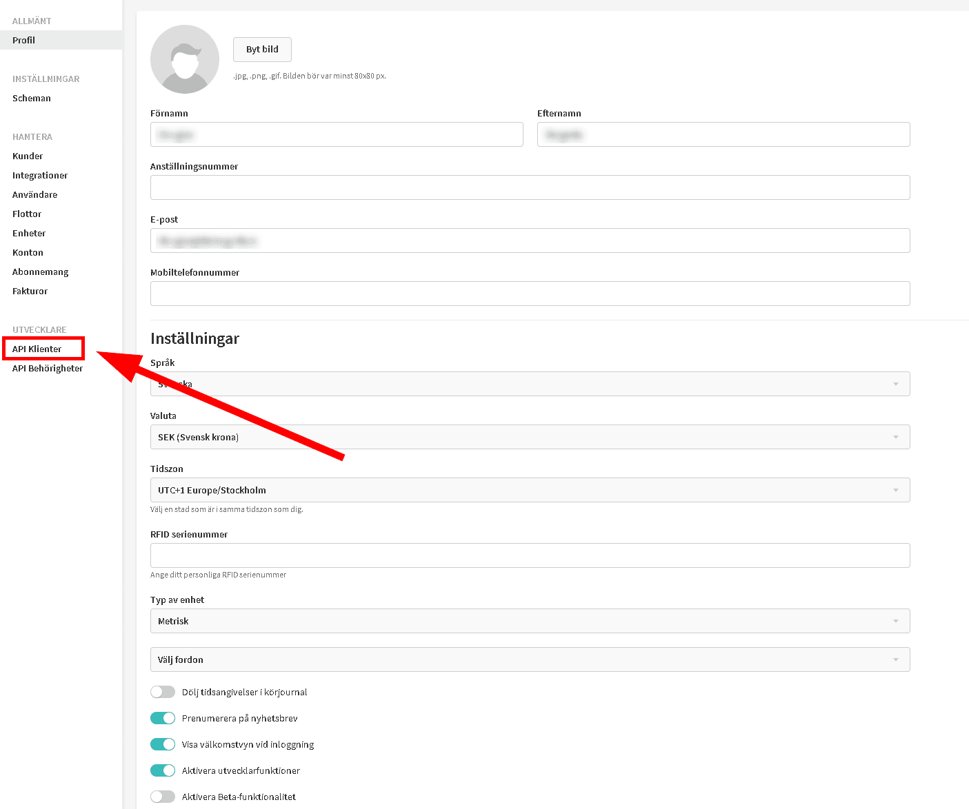In the "Developer" section, select "API clients"
