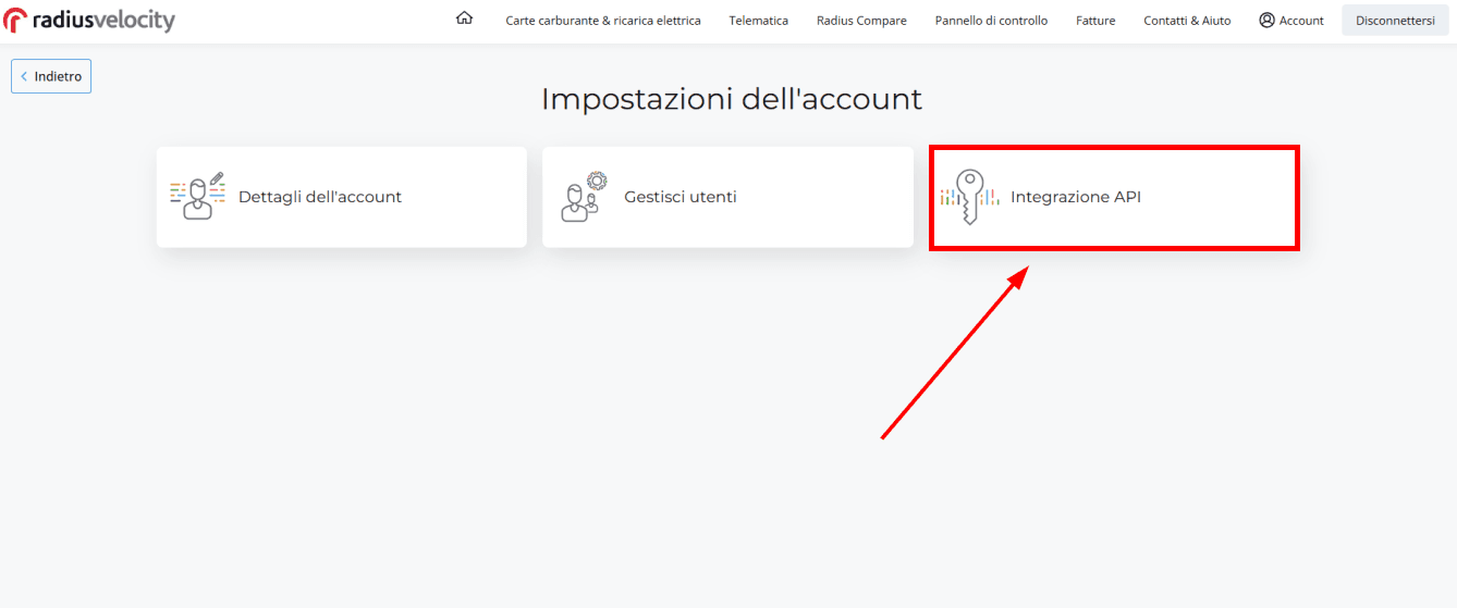 Select "API Integration"